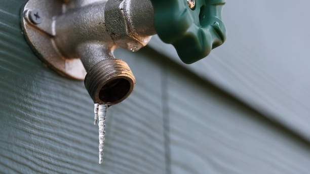 Best Toilet Repair Services  in Eutaw, AL